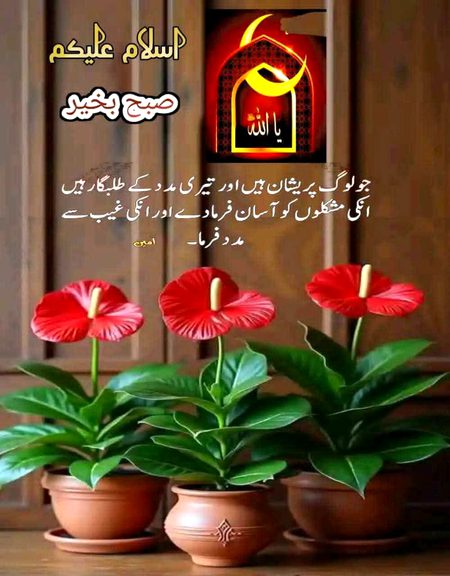 Islamic Quotes image