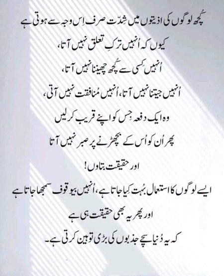 Good afternoon