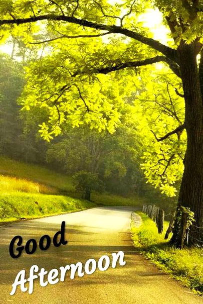 Good afternoon