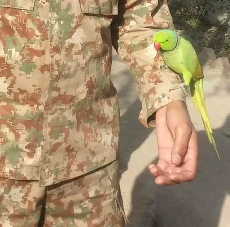 Beautiful Nature image