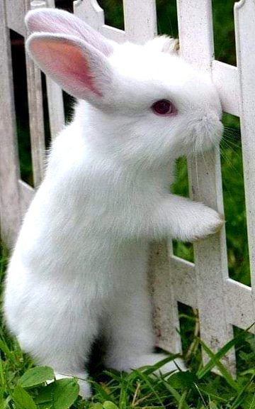 Beautiful Nature image