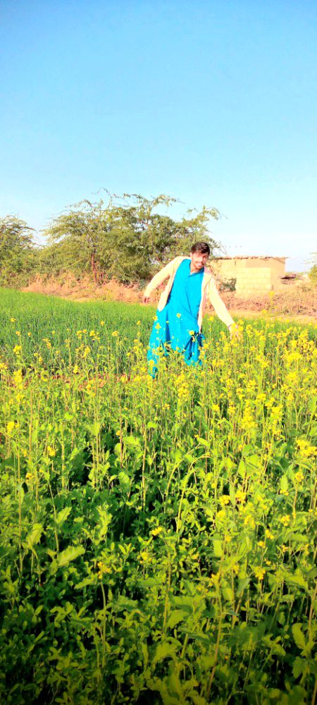 Beautiful Nature image