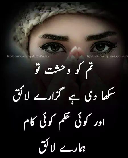 Good evening