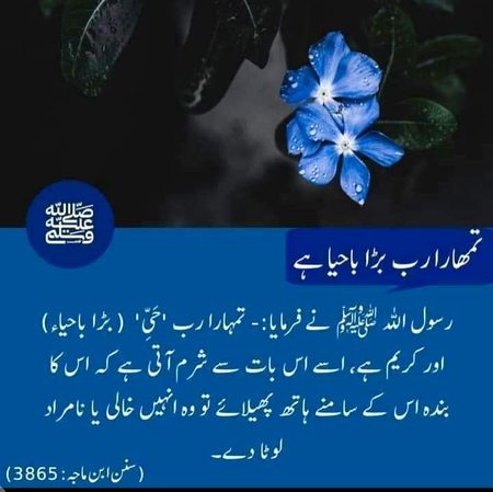 Islamic Quotes image