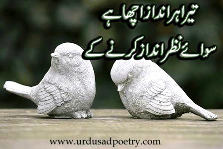 Good evening