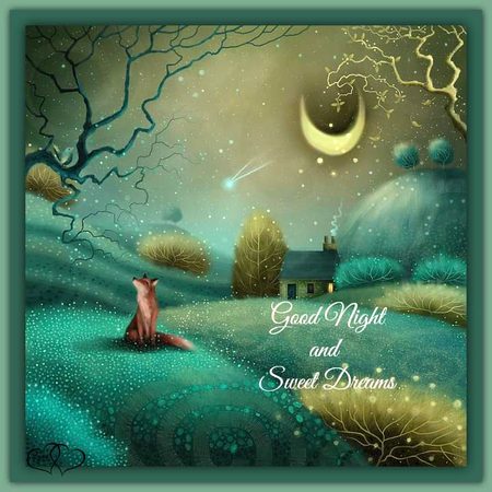 Good evening