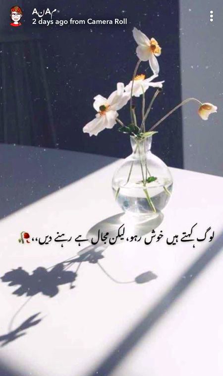 Attitude Quotes image