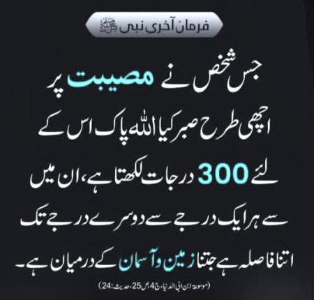 Good evening