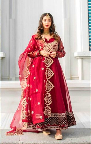 Pakistani Celebs image