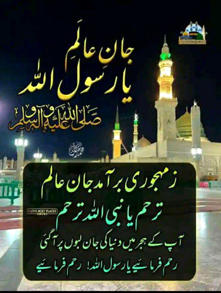 Good evening