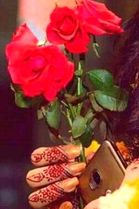 Beautiful Nature image