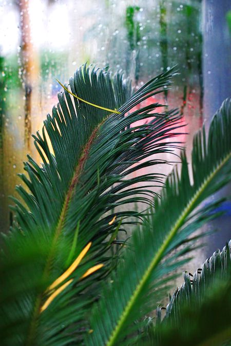 Beautiful Nature image