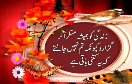 Good evening