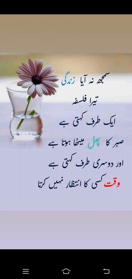 Good evening