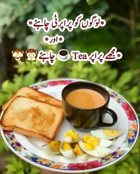 Memes & Satire image