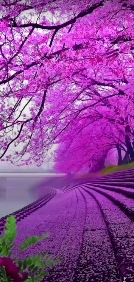 Beautiful Nature image