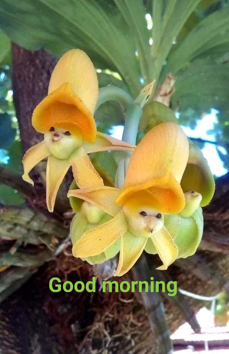 Beautiful Nature image