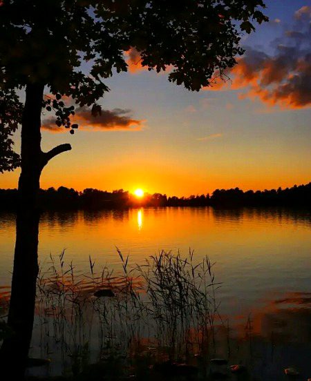 Beautiful Nature image