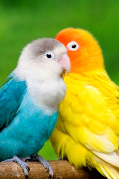 Beautiful Nature image