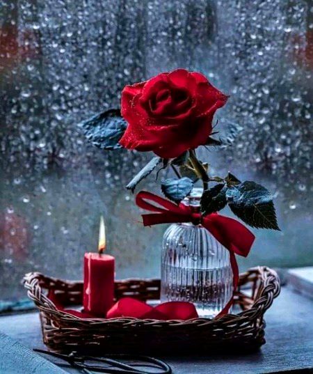 Beautiful Nature image