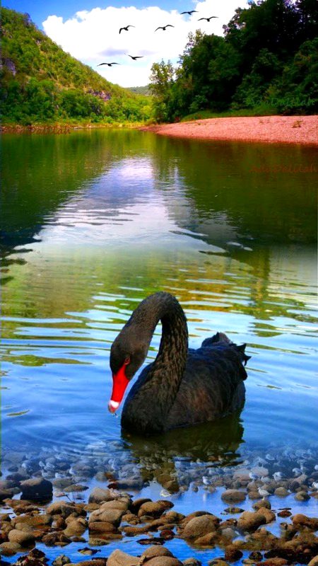 Beautiful Nature image