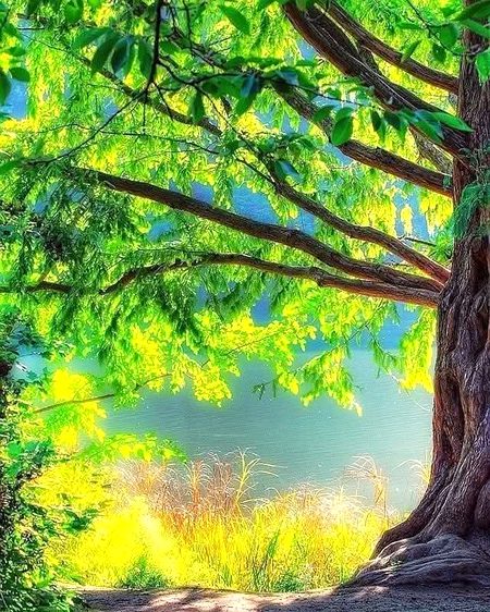 Good evening