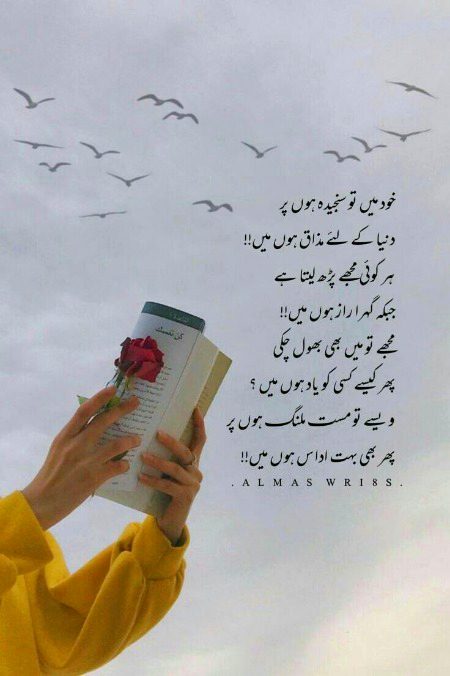 Good evening