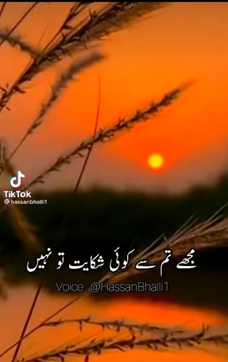 Sad Poetry image