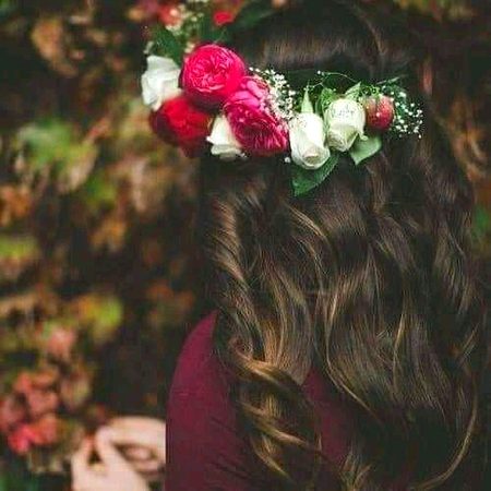 Beautiful Nature image