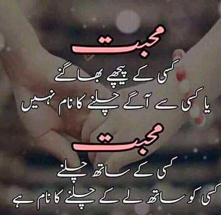 Good evening
