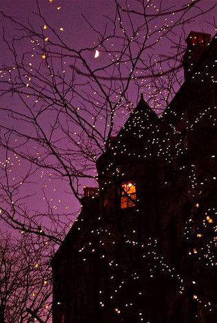 Beautiful Structures image