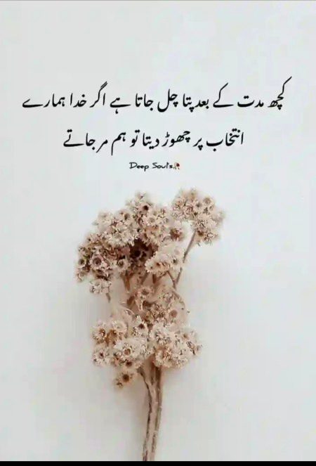 Good evening