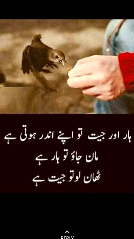 Motivational Quotes image