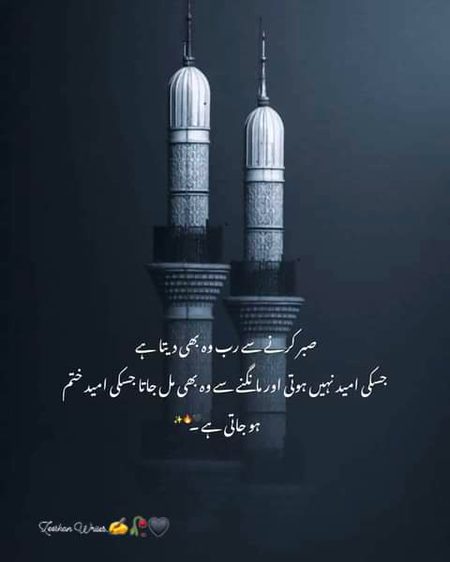 Good evening