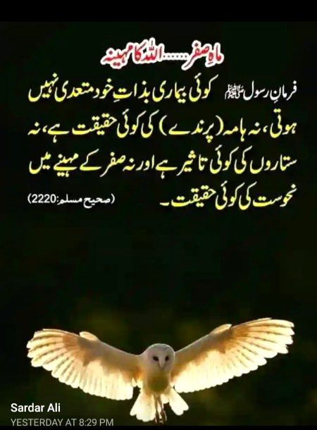 Islamic Quotes image