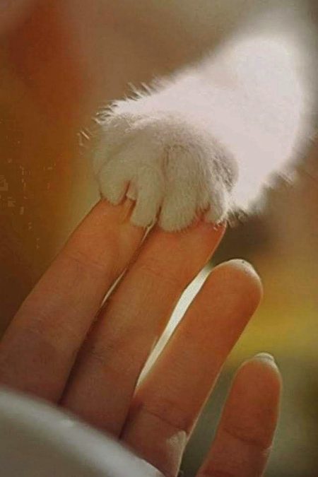 Good evening