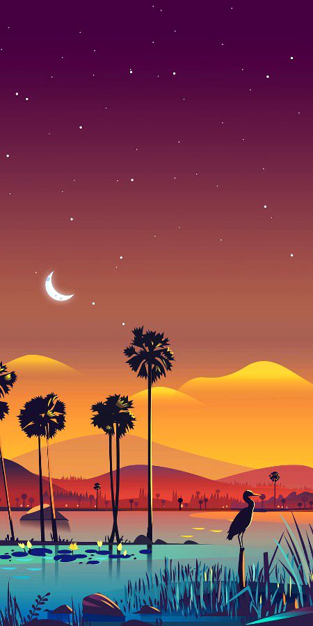 Good evening