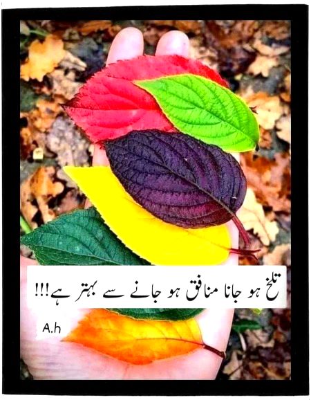 Attitude Quotes image