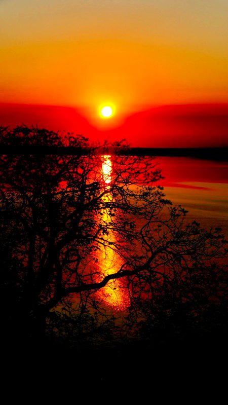 Beautiful Nature image