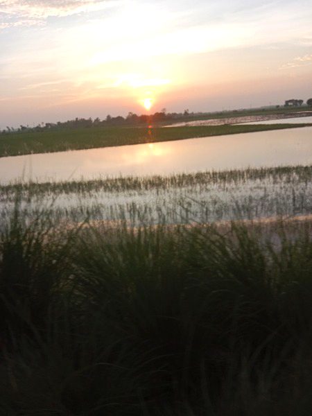 Beautiful Nature image