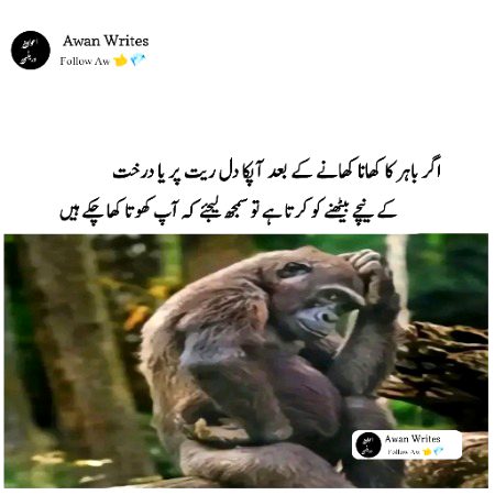 Memes & Satire image