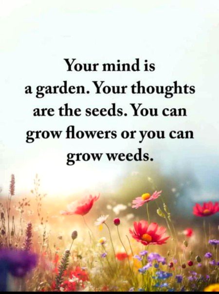Motivational Quotes image