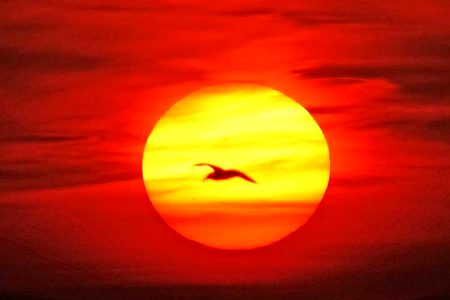 Beautiful Nature image