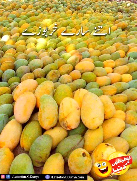 Good evening