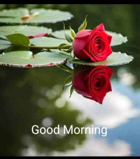 Beautiful Nature image