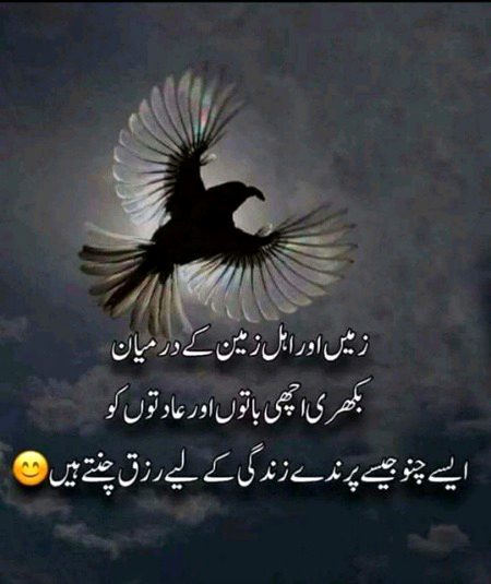 Islamic Quotes image