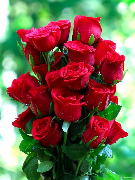 Beautiful Nature image