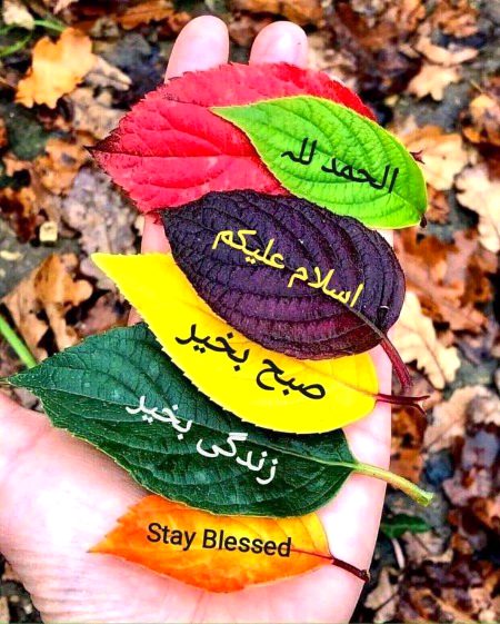 Islamic Quotes image