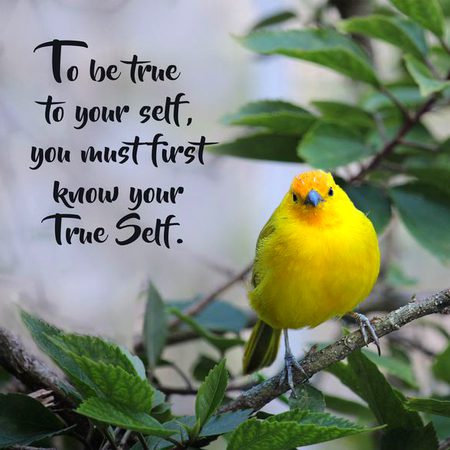 Attitude Quotes image