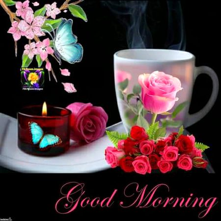 Good morning